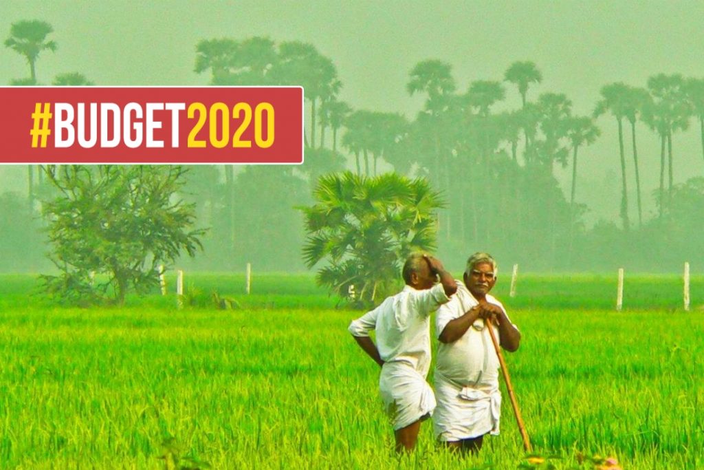 horticulture meaning crops jobs budget updates 2020 by nirmala sitaraman