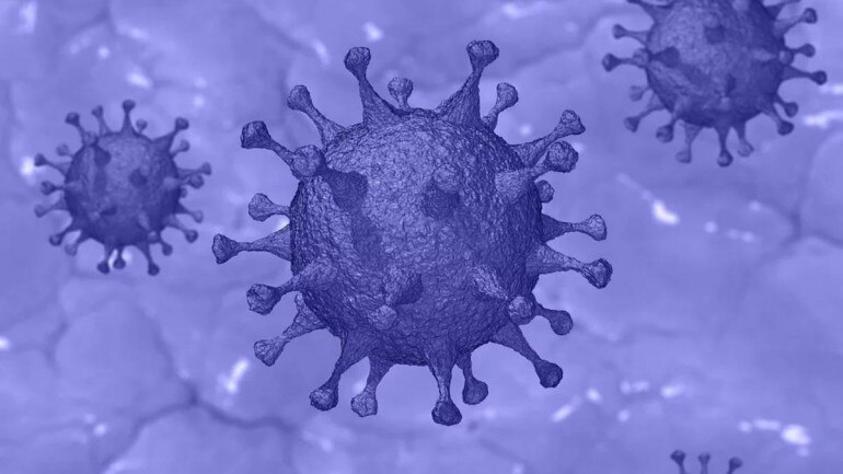 hantavirus in china hantavirus 2020 what is the new virus news