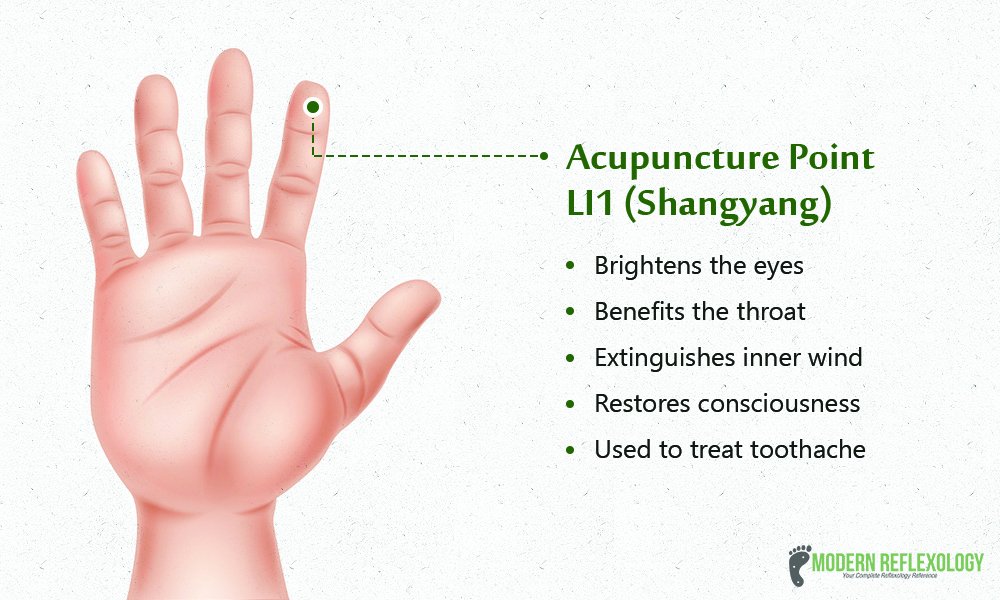 LI1 acupuncture point
